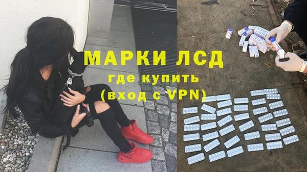 шишки Наволоки