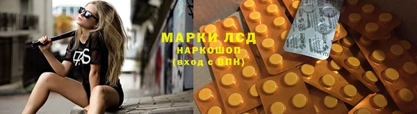 шишки Наволоки