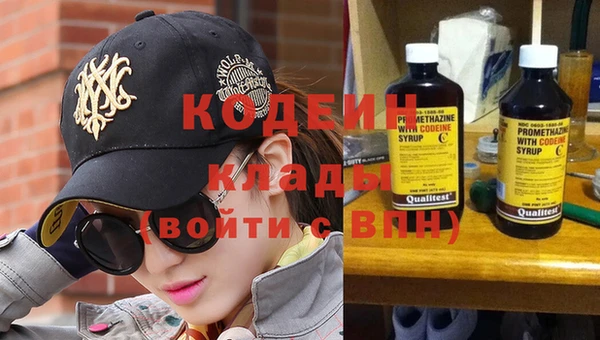 шишки Тихвин