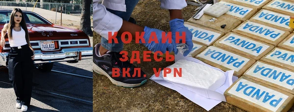 шишки Наволоки