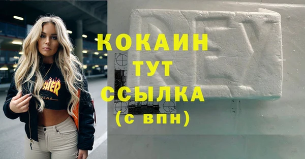 шишки Наволоки
